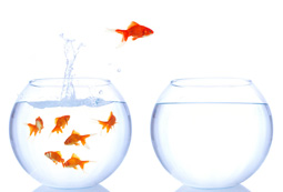 Retention Management